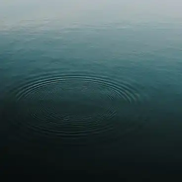 concentric circle ripples on water